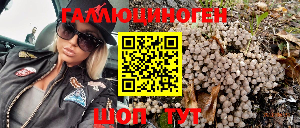 Псилоцибиновые грибы Magic Shrooms  Вход с VPN  Знаменск 