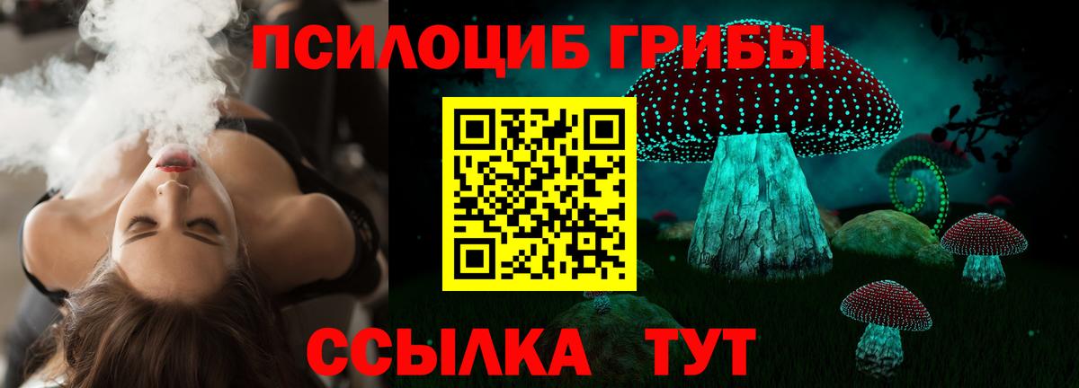 Псилоцибиновые грибы мухоморы Знаменск